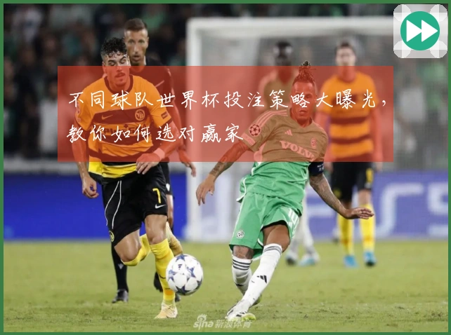 不同球队世界杯投注策略大曝光，教你如何选对赢家