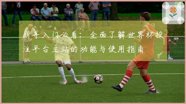 新手入门必看：全面了解世界杯投注平台主站的功能与使用指南
