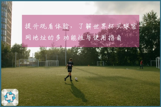 提升观看体验，了解世界杯买球官网地址的多功能性与使用指南