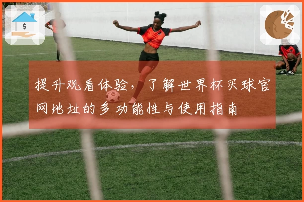 提升观看体验，了解世界杯买球官网地址的多功能性与使用指南