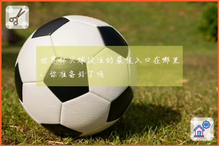 世界杯买球投注的最佳入口在哪里，你准备好了吗