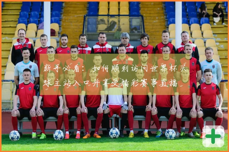 新手必看：如何顺利访问世界杯买球主站入口并享受精彩赛事直播