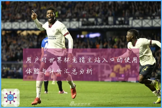 用户对世界杯竞猜主站入口的使用体验与评价汇总分析