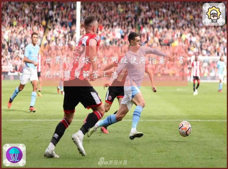 世界杯买球平台网址使用指南:常见问题与解答汇总