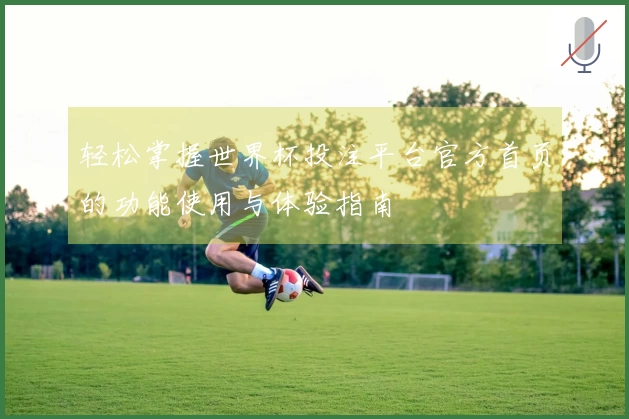 轻松掌握世界杯投注平台官方首页的功能使用与体验指南