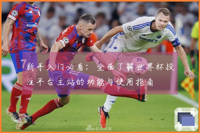 新手入门必看：全面了解世界杯投注平台主站的功能与使用指南