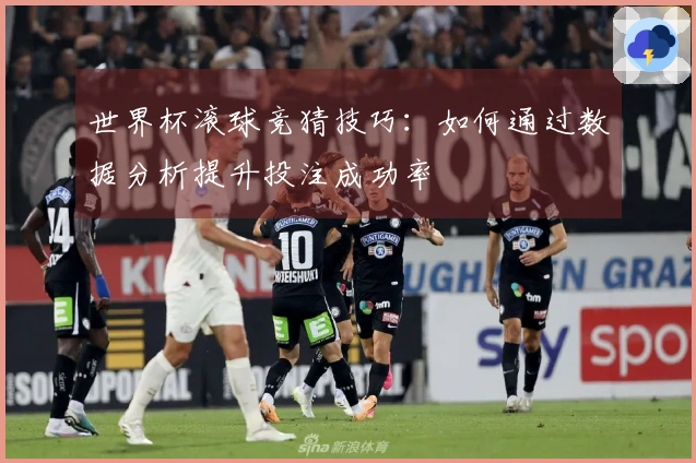 世界杯滚球竞猜技巧：如何通过数据分析提升投注成功率