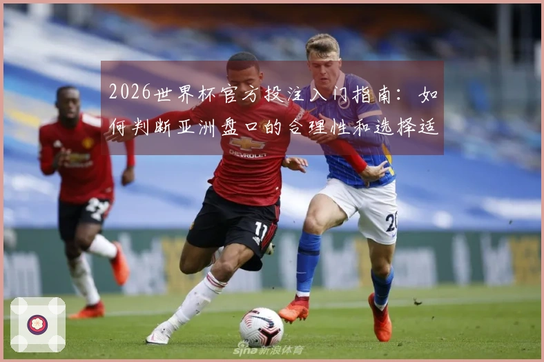 2026世界杯官方投注入门指南：如何判断亚洲盘口的合理性和选择适合的平台