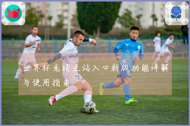 世界杯竞猜主站入口新版功能详解与使用指南