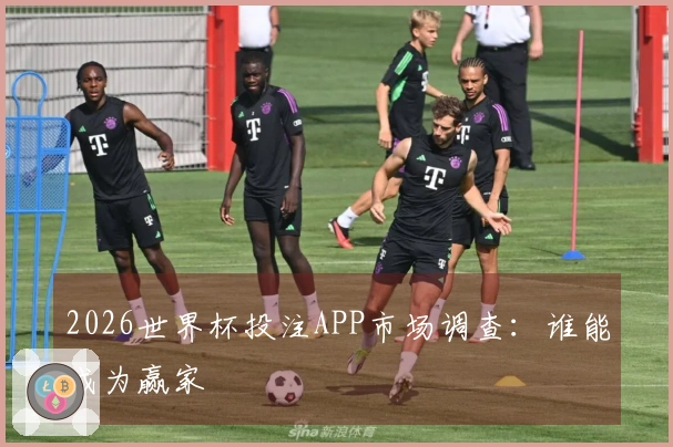 2026世界杯投注APP市场调查：谁能成为赢家