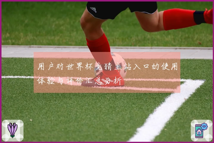 用户对世界杯竞猜主站入口的使用体验与评价汇总分析