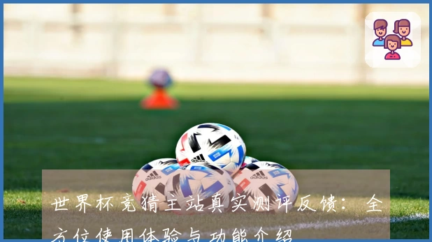 世界杯竞猜主站真实测评反馈：全方位使用体验与功能介绍