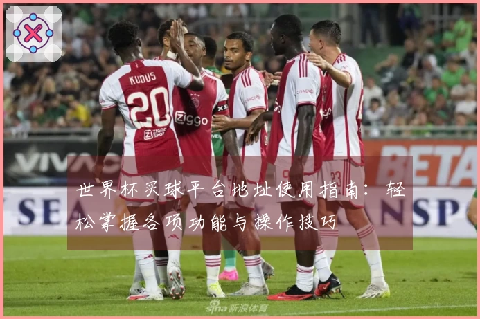 世界杯买球平台地址使用指南：轻松掌握各项功能与操作技巧
