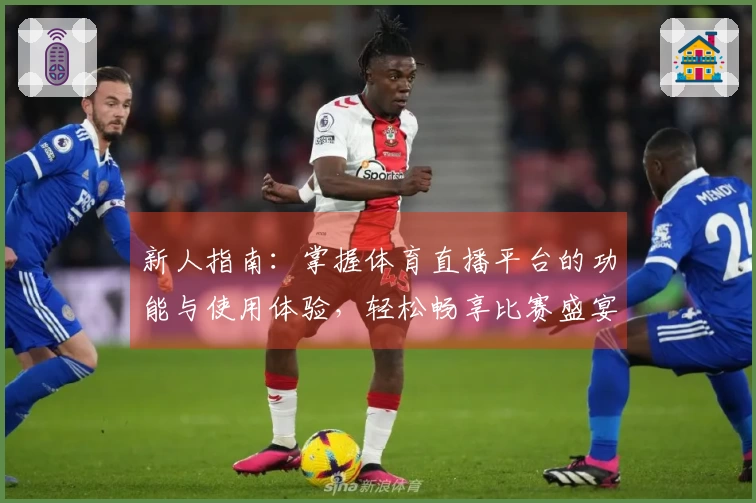新人指南：掌握体育直播平台的功能与使用体验，轻松畅享比赛盛宴