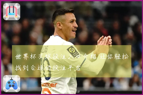 世界杯买球投注入口介绍 让你轻松找到合适的投注平台