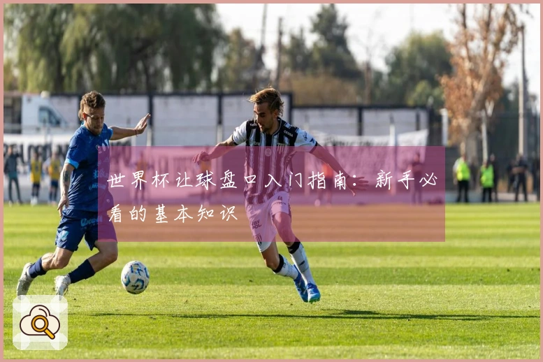 世界杯让球盘口入门指南：新手必看的基本知识